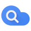 Google Cloud Search™